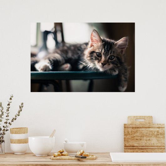 Sweet Tabby Poster (Keuken)