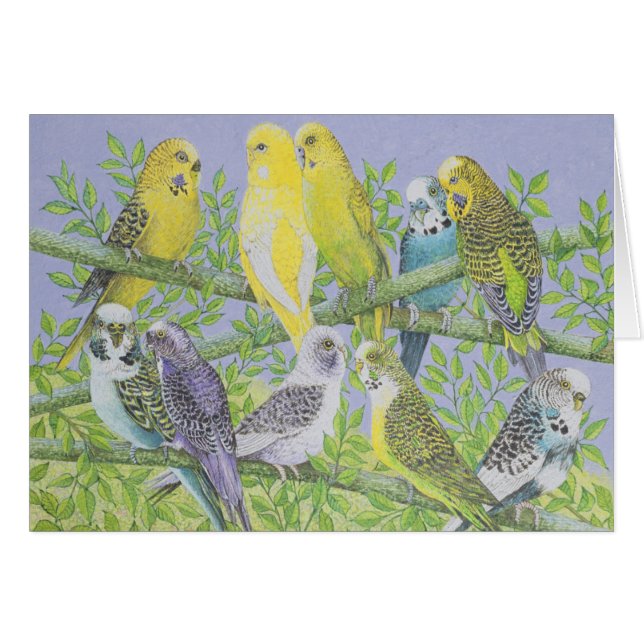 Sweet Talking (Voorkant Horizontaal)