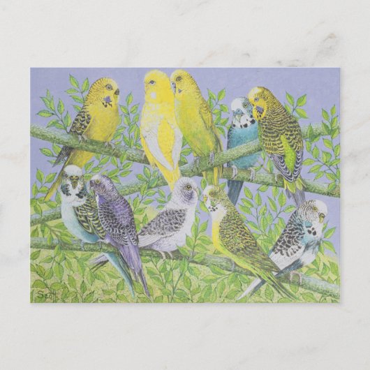 Sweet Talking Briefkaart (Voorkant)