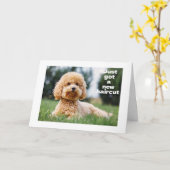 SWEET TEDDY BEAR zegt "HAPPY "60th BIRTHDAY" Kaart (Gele Bloem)