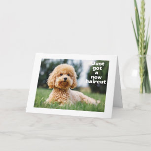 SWEET TEDDY BEAR zegt "HAPPY "60th BIRTHDAY" Kaart