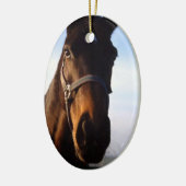 Sweet Thoroughbred Horse Ornament (Links)