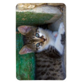 Sweet Tiger Cat Baby Magneet (Verticaal)