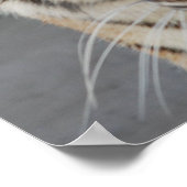 Sweet Tiger Poster (Hoek)