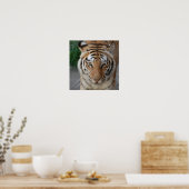 Sweet Tiger Poster (Keuken)