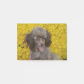 Sweet Tiny Brown Poodle Post-it® Notes (Voorkant)