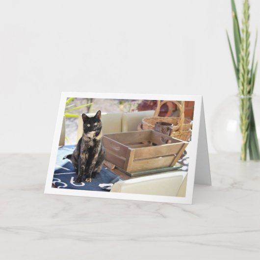 Sweet Tortoiseshell Kitten Kaart (Voorkant)