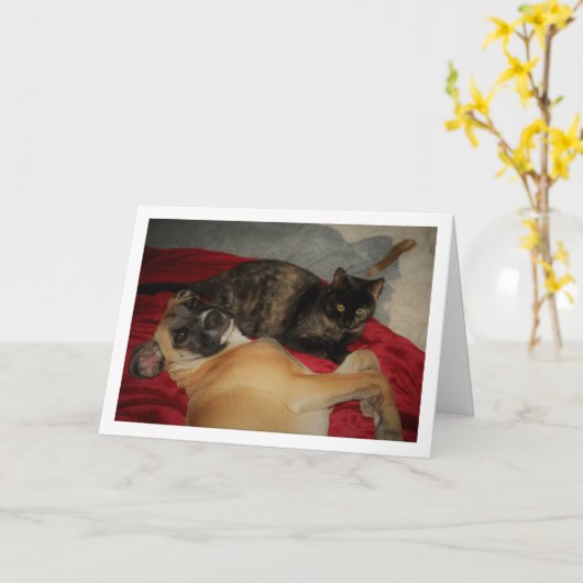 Sweet Tortoiseshell Kitten met Puppy Kaart (Gele Bloem)