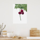 Sweet Trillium Art Print van Mary Vaux Walcott (Keuken)