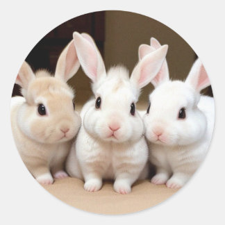 Sweet Trio van Fluffy Bunnies Ronde Sticker