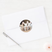 Sweet Trio van Fluffy Bunnies Ronde Sticker (Envelop)