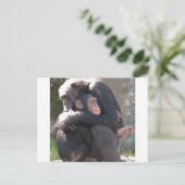 Sweet! Twee Chimpansees delen een liefdevol hug Briefkaart (Staand voorkant)