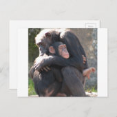 Sweet! Twee Chimpansees delen een liefdevol hug Briefkaart (Voorkant / Achterkant)