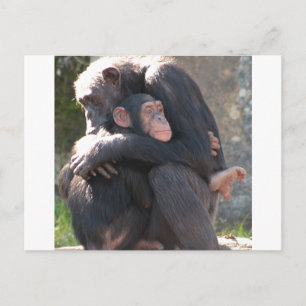 Sweet! Twee Chimpansees delen een liefdevol hug Briefkaart