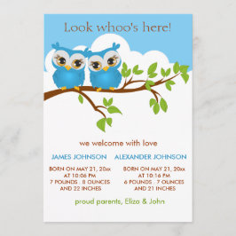Sweet Twins Owls Baby Boy Birth Notice Card Aankondiging
