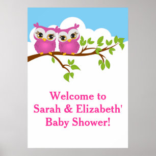 Sweet Twins Owls Baby shower Poster