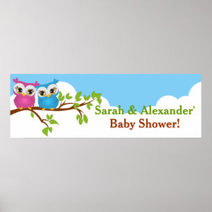 Sweet Twins Owls Boy Girl Baby shower Banner Poster