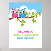 Sweet Twins Owls Boy Girl Baby shower Poster (Voorkant)
