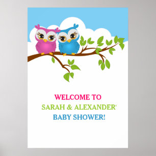 Sweet Twins Owls Boy Girl Baby shower Poster