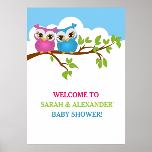 Sweet Twins Owls Boy Girl Baby shower Poster (Voorkant)