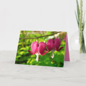 Sweet Valentijnsdag card - foto bloeden Kaart (Voorkant)