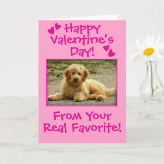 Sweet Valentine's Day From The Dog Photo Card Kaart