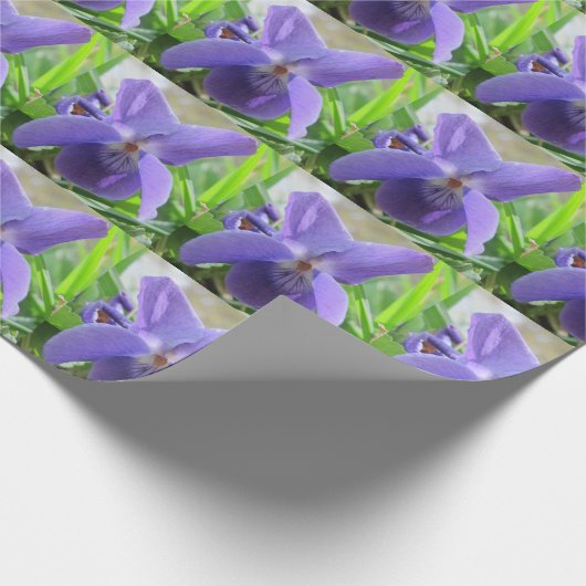 Sweet Violet Cadeaupapier (Hoek)