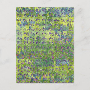 Sweet Violets 2012 Briefkaart