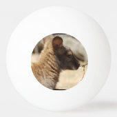 Sweet Wallaby Pingpongbal (Achterkant)