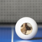 Sweet Wallaby Pingpongbal (Net)