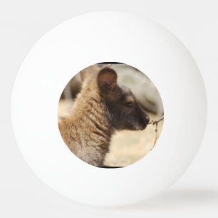 Sweet Wallaby Pingpongbal