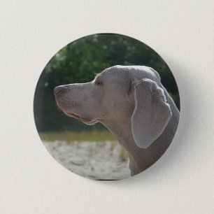 Sweet Weimaraner Dog Profile Ronde Button 5,7 Cm