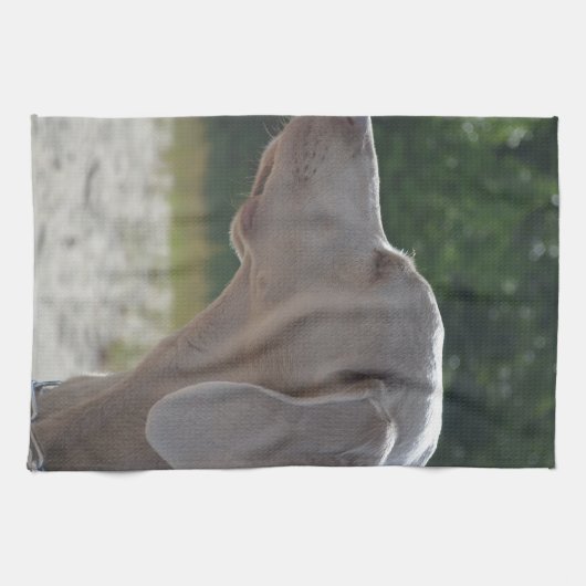 Sweet Weimaraner Dog Profile Theedoek (Horizontaal)