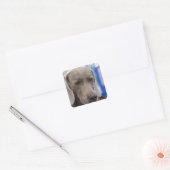 Sweet Weimaraner Dog Stickers (Envelop)