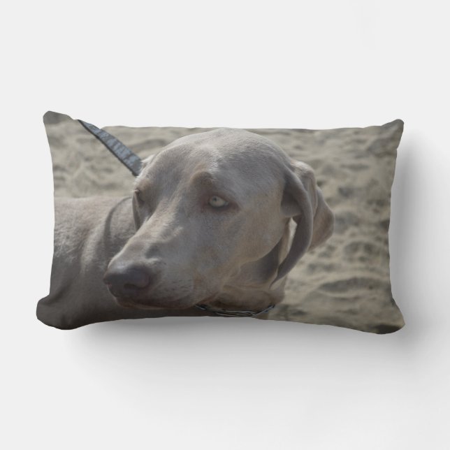 Sweet Weimaraner Kussen (Voorkant)