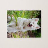 Sweet White Lapp Hund Hond Groene Achtergrond Foto Legpuzzel (Horizontaal)