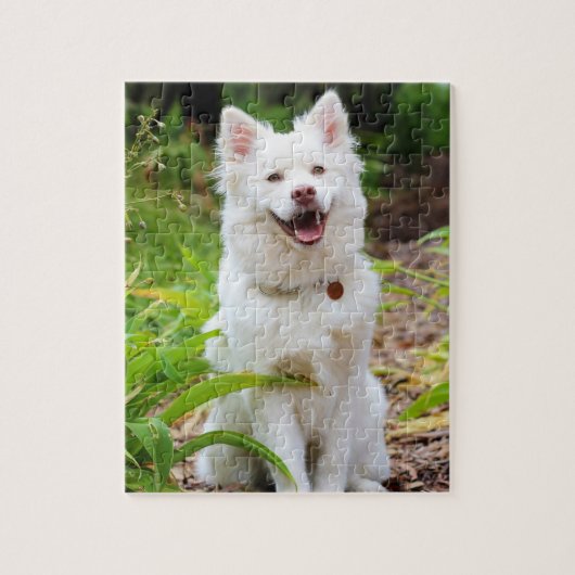 Sweet White Lapp Hund Hond Groene Achtergrond Foto Legpuzzel (Verticaal)