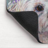 SWEET WHITE MALTESE YORKIE MIX MUISMAT (Hoek)