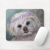 SWEET WHITE MALTESE YORKIE MIX MUISMAT (Met muis)