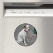 Sweet White Mongrel Magneet (Insitu (Vaatwasser))