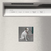 Sweet White Mongrel Magneet (Insitu (Vaatwasser))