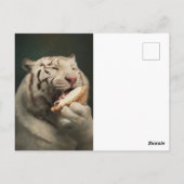 Sweet White Tiger Postcard – Whimsical Art Briefkaart (Achterkant)