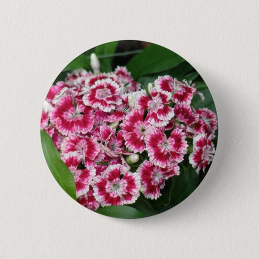 Sweet William Flowers Round Button (Voorkant)
