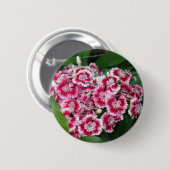 Sweet William Flowers Round Button (Voorkant /achterkant)