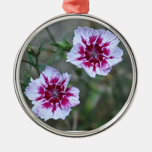 Sweet Williams Metalen Ornament (Voorkant)