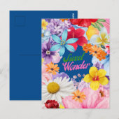 Sweet Wonder Briefkaart (Voorkant / Achterkant)