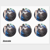 Sweet Zee Lion Ronde Sticker (Vel)