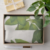 Sweetbay van Mary Vaux Walcott Tissuepapier (Geschenk)