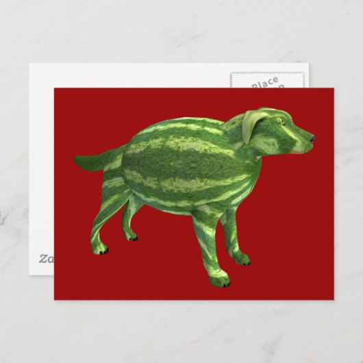 Sweetest Melon Dog Briefkaart (Voorkant / Achterkant)