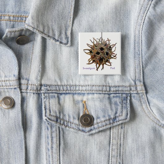 Sweetgum Pod Button (In situ)